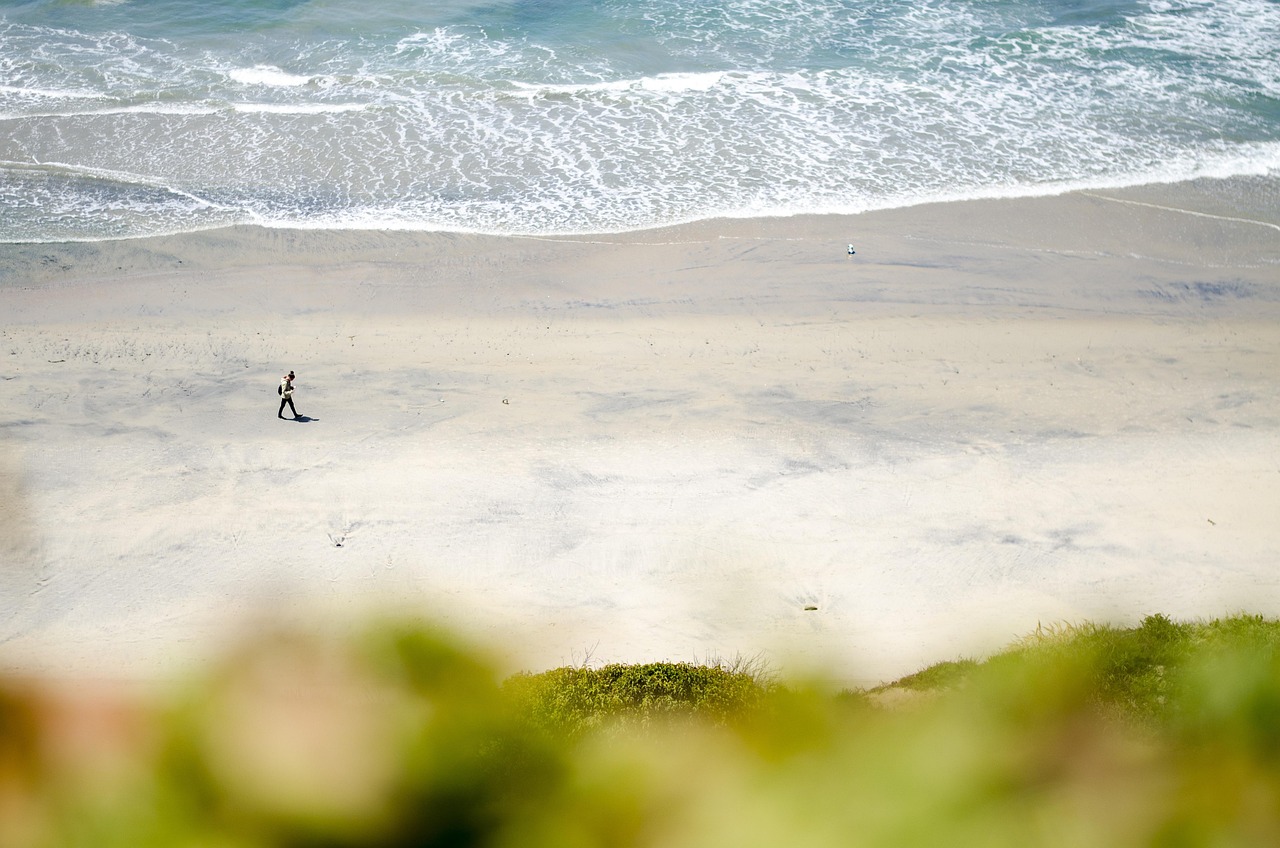Natural Cycle IVF in San Diego: The Gentle Approach to Fertility at Hanabusa IVF